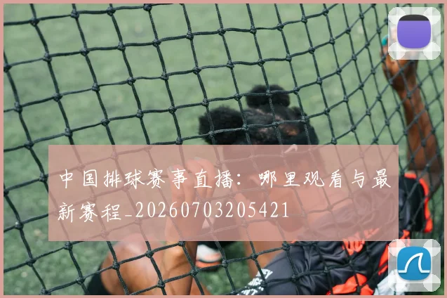 中国排球赛事直播：哪里观看与最新赛程_20260703205421