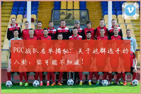 PGC战队名单揭秘:关于这群选手的八卦,你可能不知道!