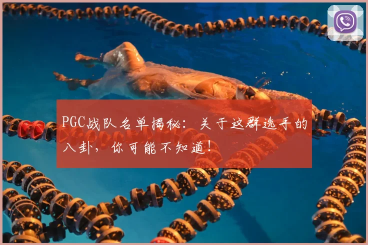 PGC战队名单揭秘：关于这群选手的八卦，你可能不知道！