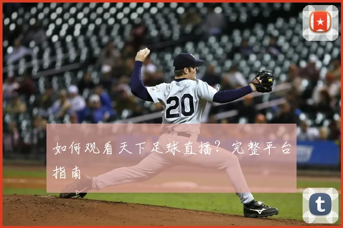 如何观看天下足球直播?完整平台指南